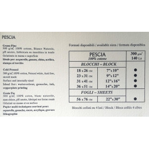 Magnani carta Pescia liscia 300gr Magnani carta Pescia liscia 300gr