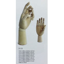 Mano - modello per pittori Mano - modello per pittori