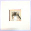 Dariush - litografia Dariush - litografia