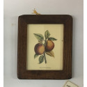 Cornice in castagno con stampa - frutta