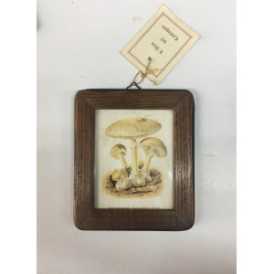 Cornice in castagno con stampa - funghi