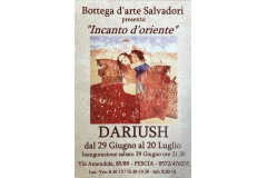 INCANTI D'ORIENTE - Dariush 2013 INCANTI D'ORIENTE - Dariush 2013