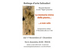 LA MEMORIA VISIVA DELLA PIANTA... E NON SOLO LA MEMORIA VISIVA DELLA PIANTA... E NON SOLO