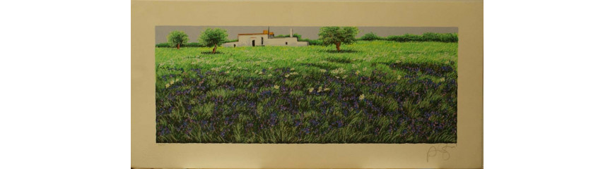 Azzinari Franco Azzinari Franco